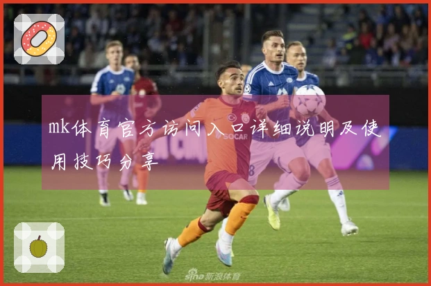 mk体育官方访问入口详细说明及使用技巧分享